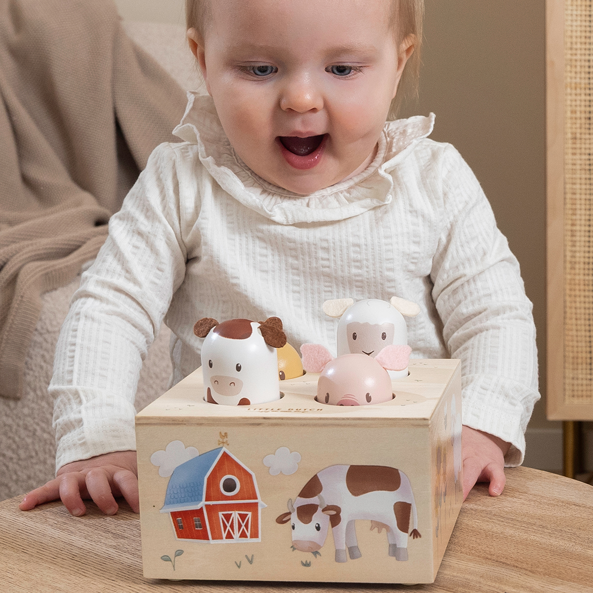 Pop-up Toy Little Farm 