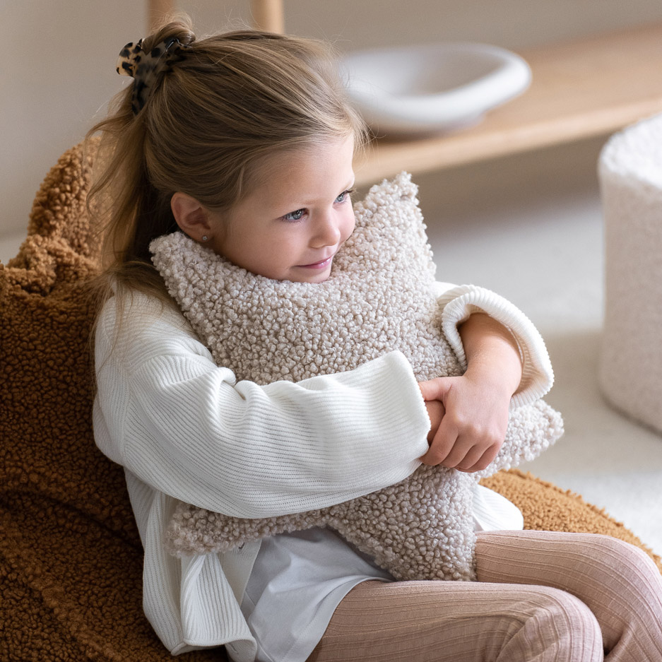 Cushion Star Teddy Biscuit