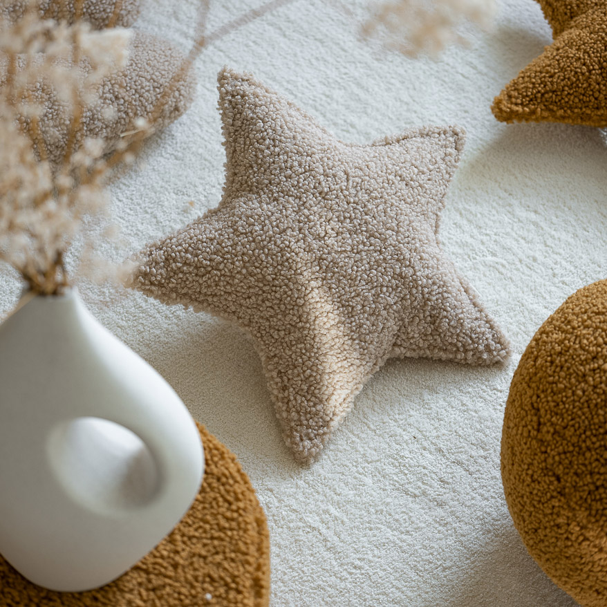 Cushion Star Teddy Biscuit